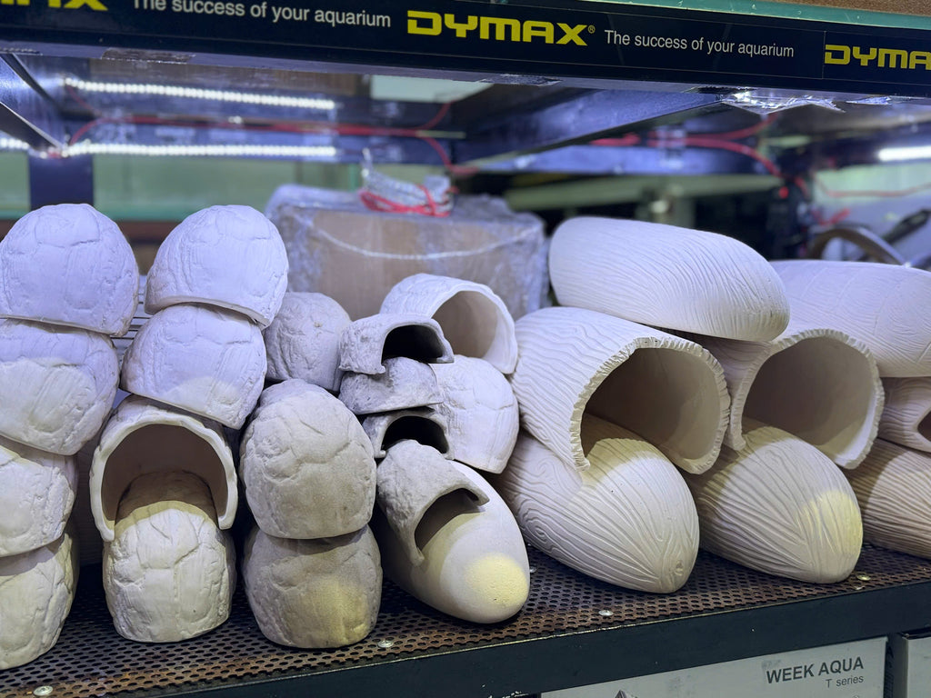 Cave for Pleco fish